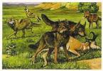 SML Wildlife Control SML Wildlife Control